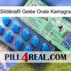 Sildénafil Gelée Orale Kamagra new02